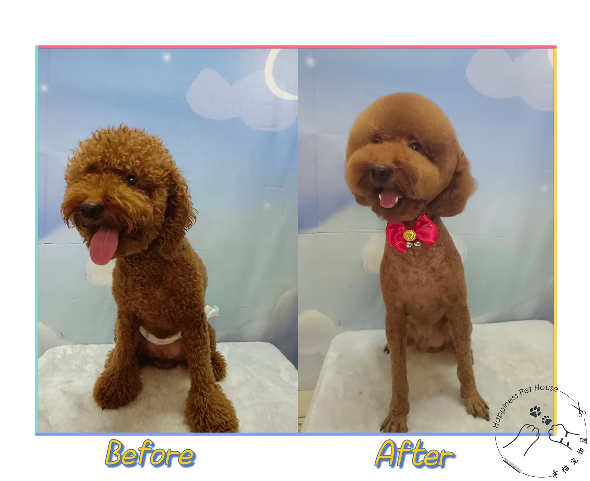 Dog grooming before and after at Happiness Pet House Tampin