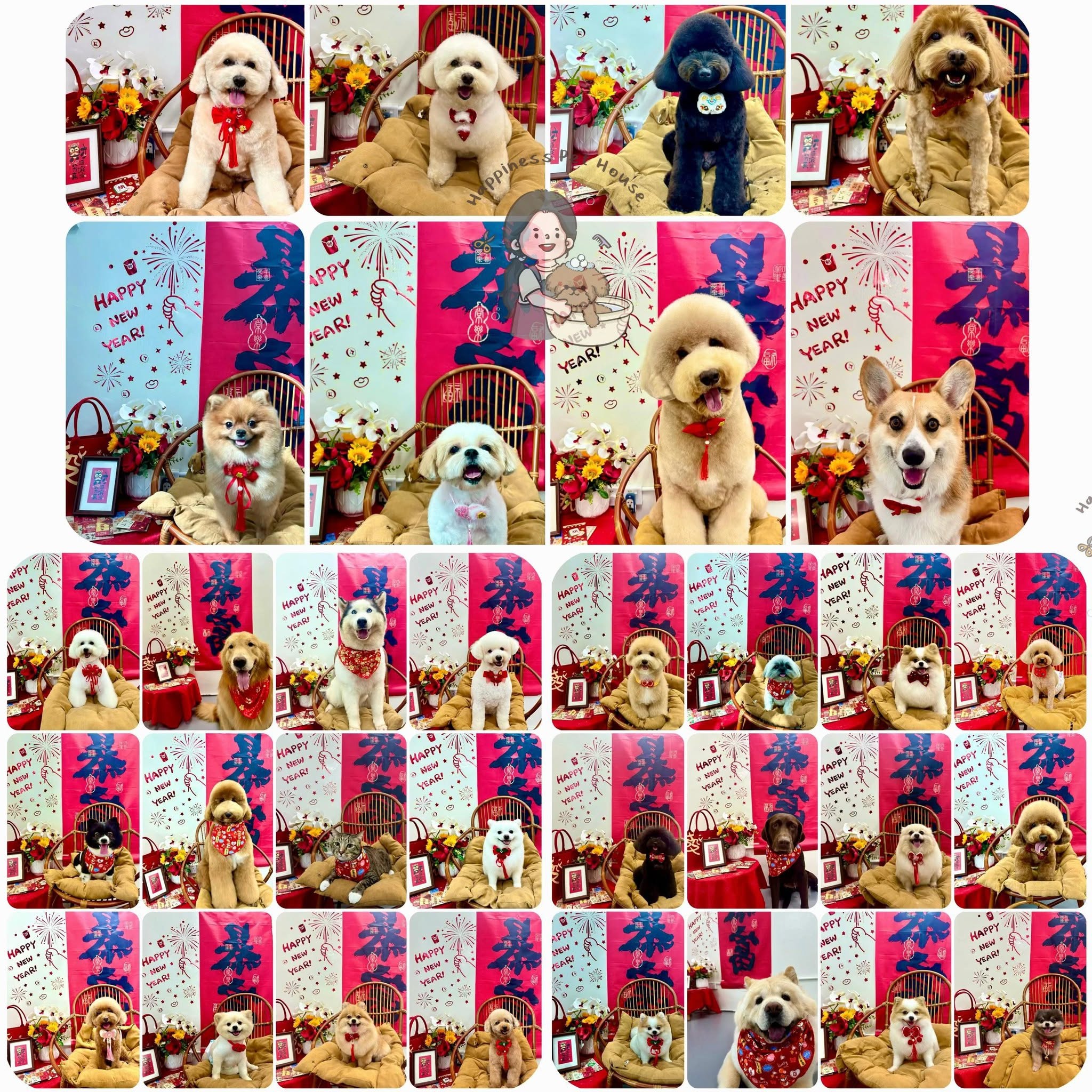 Happy dogs and cats groomed at Happiness Pet House Tampin